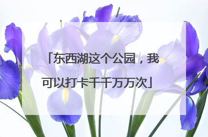 东西湖这个公园，我可以打卡千千万万次