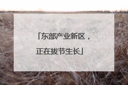 东部产业新区，正在拔节生长