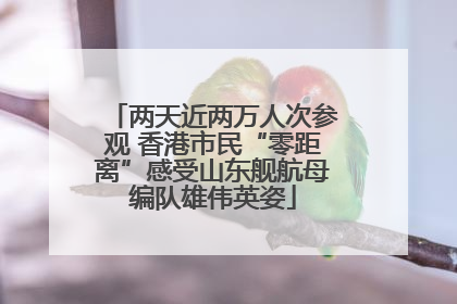 两天近两万人次参观 香港市民“零距离”感受山东舰航母编队雄伟英姿