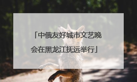 中俄友好城市文艺晚会在黑龙江抚远举行