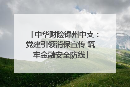 中华财险锦州中支：党建引领消保宣传 筑牢金融安全防线