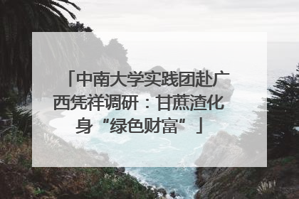 中南大学实践团赴广西凭祥调研：甘蔗渣化身“绿色财富”