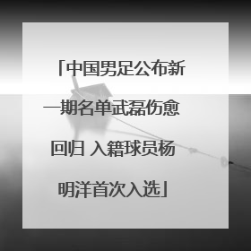 中国男足公布新一期名单武磊伤愈回归 入籍球员杨明洋首次入选