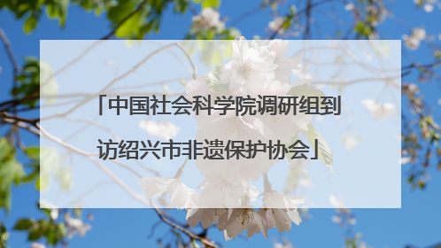 中国社会科学院调研组到访绍兴市非遗保护协会