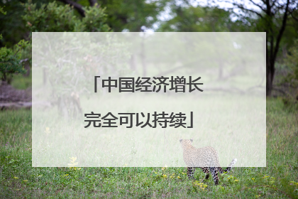 中国经济增长完全可以持续