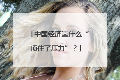 中国经济靠什么“顶住了压力”？