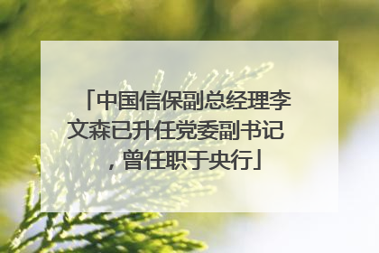 中国信保副总经理李文森已升任党委副书记，曾任职于央行