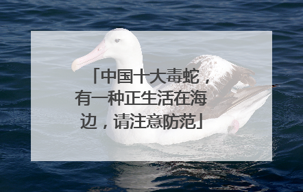 中国十大毒蛇，有一种正生活在海边，请注意防范