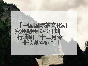 中国国际茶文化研究会副会长张仲灿一行调研“十二月令·非遗茶空间”