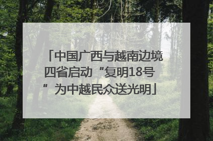 中国广西与越南边境四省启动“复明18号”为中越民众送光明