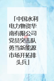 中国水利电力物资华南有限公司党员突击队勇当新能源市场开拓排头兵