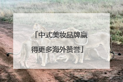 中式美妆品牌赢得更多海外赞誉