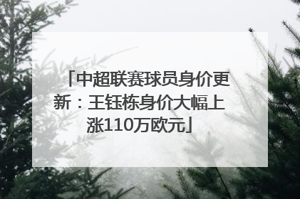 中超联赛球员身价更新：王钰栋身价大幅上涨110万欧元