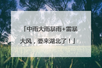 中雨大雨暴雨+雷暴大风，要来湖北了！