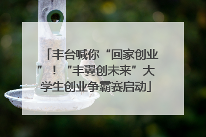 丰台喊你“回家创业”！“丰翼创未来”大学生创业争霸赛启动
