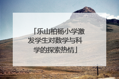 乐山柏杨小学激发学生对数学与科学的探索热情