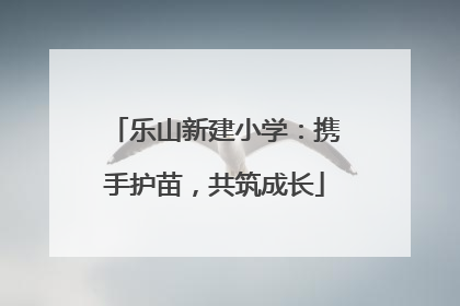 乐山新建小学：携手护苗，共筑成长