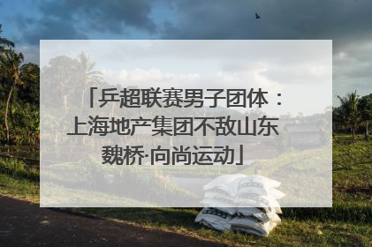 乒超联赛男子团体：上海地产集团不敌山东魏桥·向尚运动
