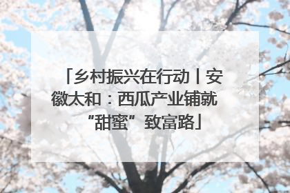 乡村振兴在行动丨安徽太和：西瓜产业铺就“甜蜜”致富路