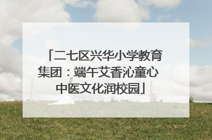 二七区兴华小学教育集团：端午艾香沁童心 中医文化润校园