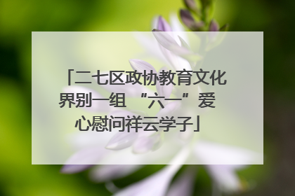 二七区政协教育文化界别一组 “六一”爱心慰问祥云学子