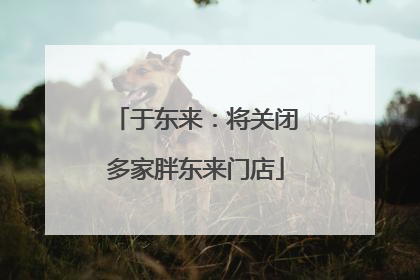 于东来：将关闭多家胖东来门店