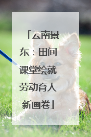 云南景东：田间课堂绘就劳动育人新画卷