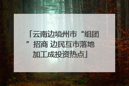 云南边境州市“组团”招商 边民互市落地加工成投资热点