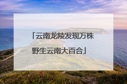 云南龙陵发现万株野生云南大百合