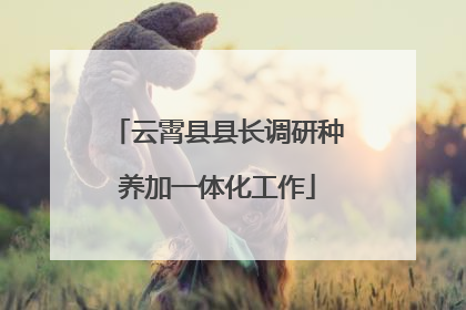 云霄县县长调研种养加一体化工作