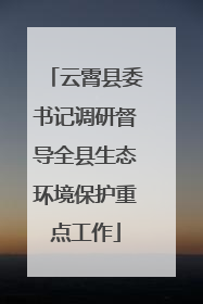 云霄县委书记调研督导全县生态环境保护重点工作