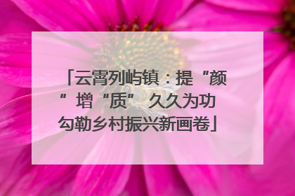 云霄列屿镇：提“颜”增“质” 久久为功勾勒乡村振兴新画卷