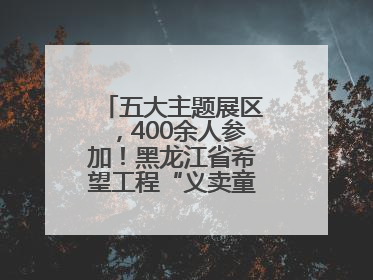 五大主题展区，400余人参加！黑龙江省希望工程“义卖童园”活动举行