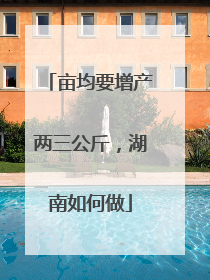 亩均要增产两三公斤，湖南如何做