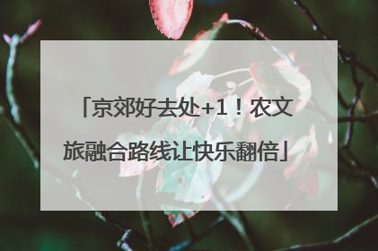 京郊好去处+1！农文旅融合路线让快乐翻倍