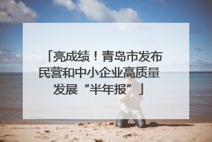 亮成绩！青岛市发布民营和中小企业高质量发展“半年报”