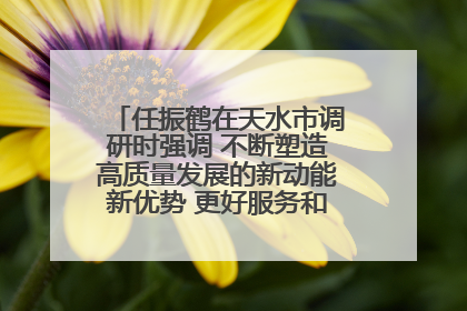 任振鹤在天水市调研时强调 不断塑造高质量发展的新动能新优势 更好服务和融入以国内大循环为主体的新发展格局
