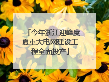 今年浙江迎峰度夏重大电网建设工程全面投产