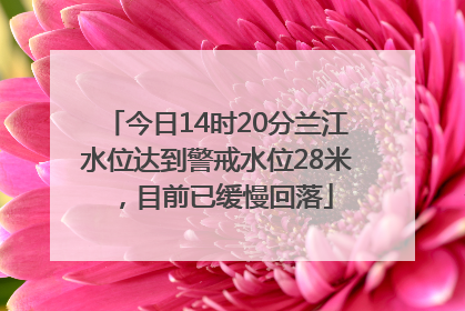 今日14时20分兰江水位达到警戒水位28米，目前已缓慢回落