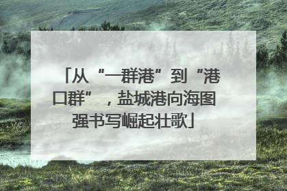 从“一群港”到“港口群”，盐城港向海图强书写崛起壮歌
