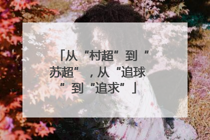 从“村超”到“苏超”，从“追球”到“追求”
