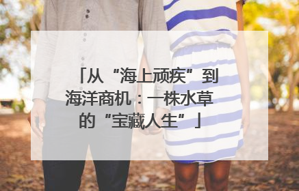 从“海上顽疾”到海洋商机：一株水草的“宝藏人生”