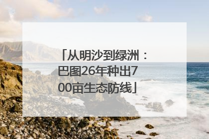 从明沙到绿洲：巴图26年种出700亩生态防线