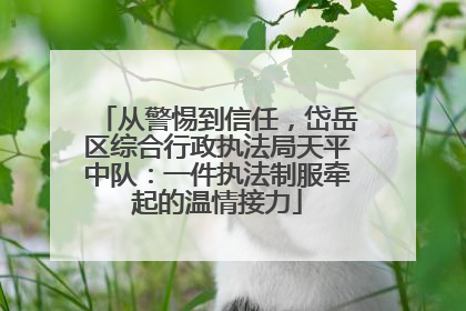 从警惕到信任，岱岳区综合行政执法局天平中队：一件执法制服牵起的温情接力