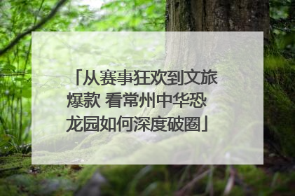 从赛事狂欢到文旅爆款 看常州中华恐龙园如何深度破圈