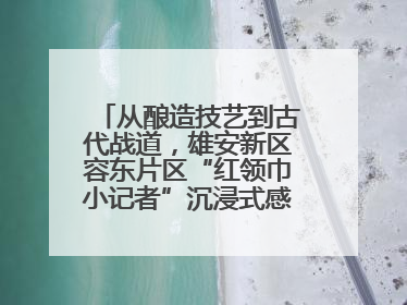 从酿造技艺到古代战道，雄安新区容东片区“红领巾小记者”沉浸式感受历史韵味