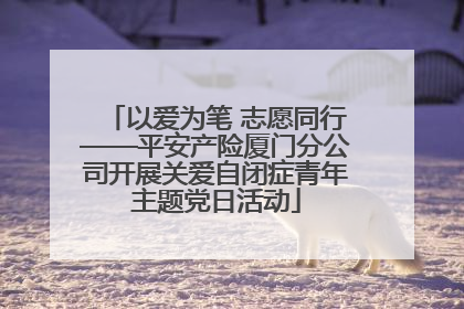 以爱为笔 志愿同行——平安产险厦门分公司开展关爱自闭症青年主题党日活动