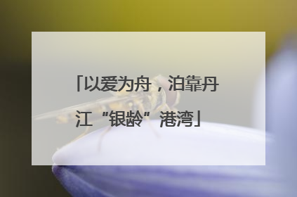 以爱为舟，泊靠丹江“银龄”港湾