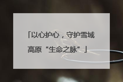 以心护心，守护雪域高原“生命之脉”