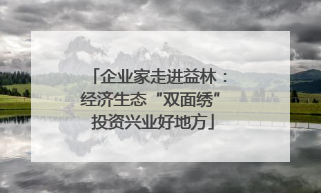 企业家走进益林：经济生态“双面绣” 投资兴业好地方